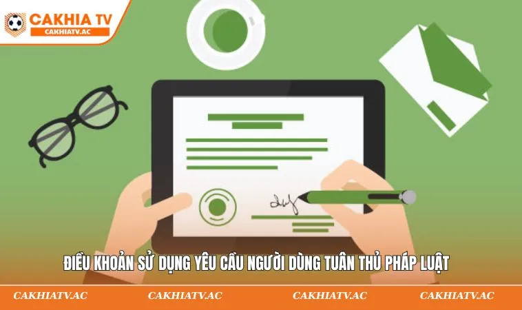 Điều khoản sử dụng yêu cầu người dùng tuân thủ pháp luật