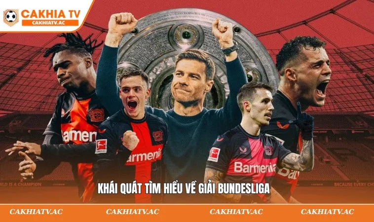 Khái quát tìm hiểu về giải Bundesliga