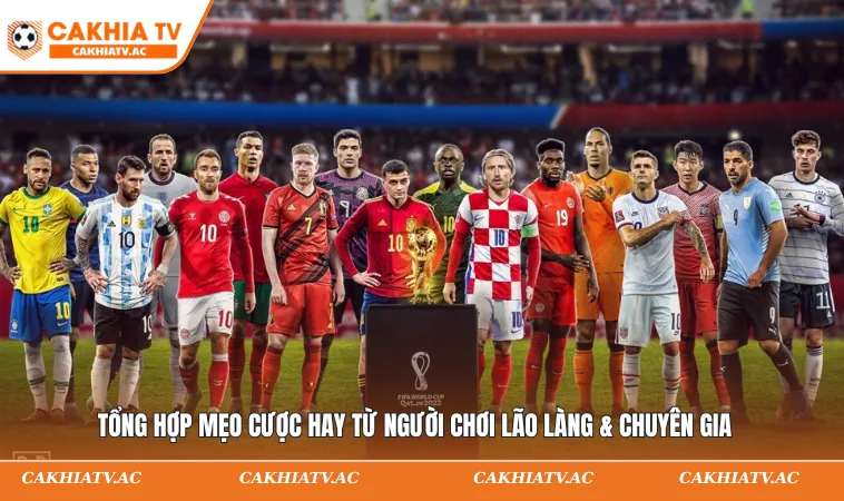 Tổng hợp mẹo cược hay từ người chơi lão làng & chuyên gia